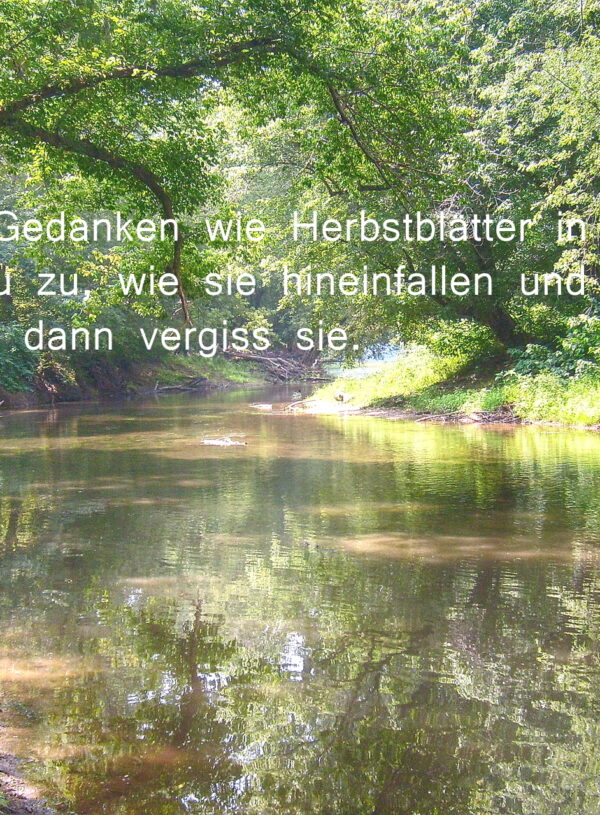 Die Gedanken und der Fluss