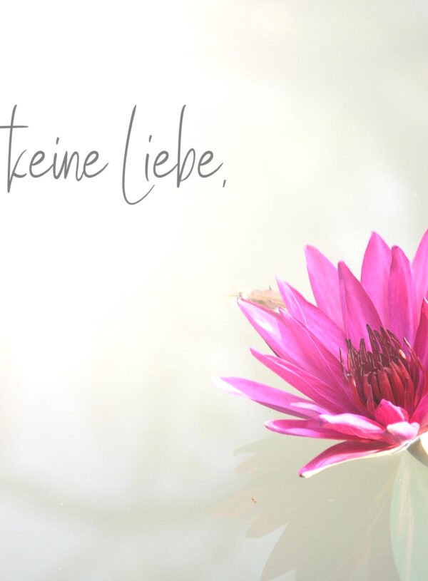 Es ist keine Liebe, wenn …