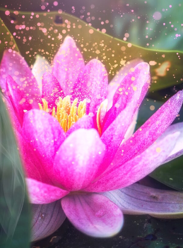 Erde, Feuer, Luft und Wasser – die 4 Elemente: Welcher Typ bist du?