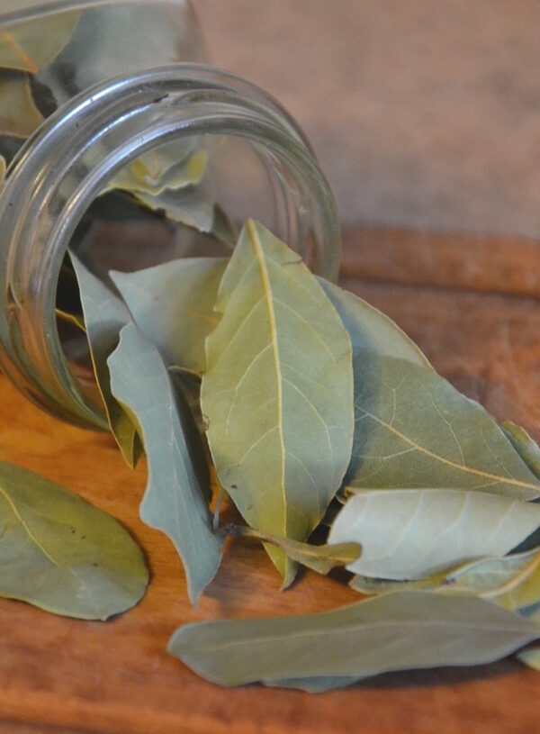 Werde Stress und Ängste los und verbrenne Lorbeerblätter